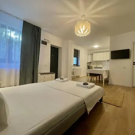 Sky Residence Airport Therme Otopeni 4 Extérieur photo